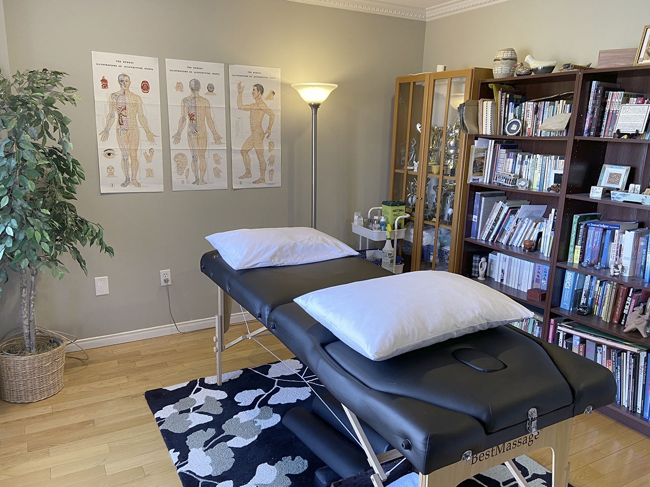 photograph inside clinic looking across a massage table toward bookcases and acupunture graphic posters and a tall plant